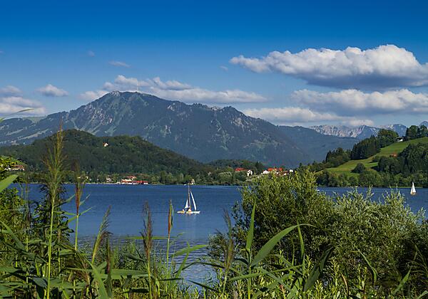 Großer Alpsee
