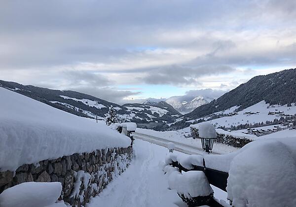 An einem Wintermorgen Bergwald Alpbach