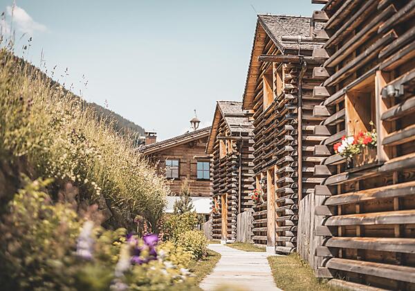 bergwiesenglueck-juni-2023-©DavidJohansson-6389-we