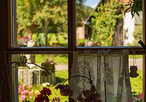 20240729_haus_anawander(c)maria_kracikova-28