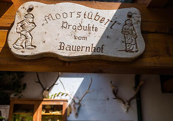 20240729_haus_anawander(c)maria_kracikova-24