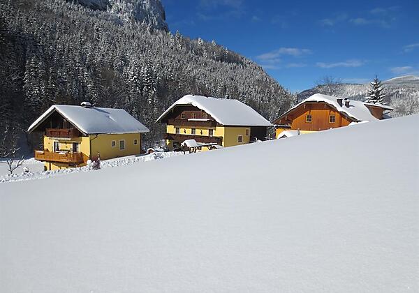 Bio-Bauernhof Vordergrubenbachhof