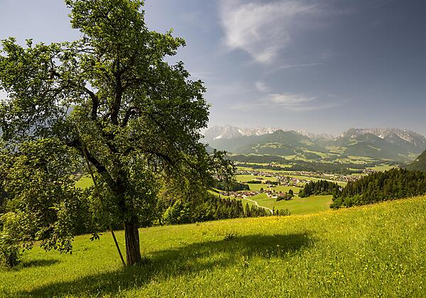 Kaiserwinkl_Sommerurlaub_Landschaft (24)