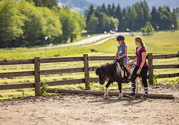 Das Glück der Erde liegt auf dem Rücken der Pferde