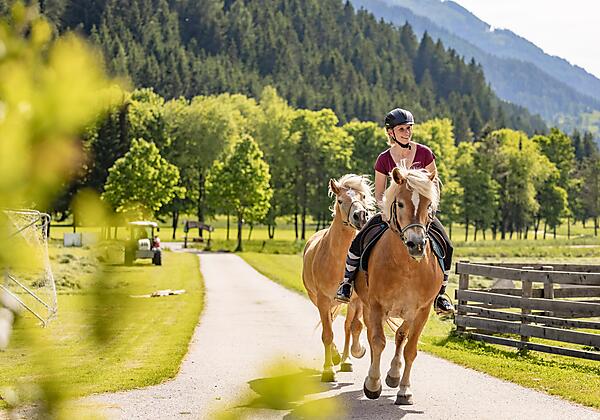 Herrlicher Ausritt