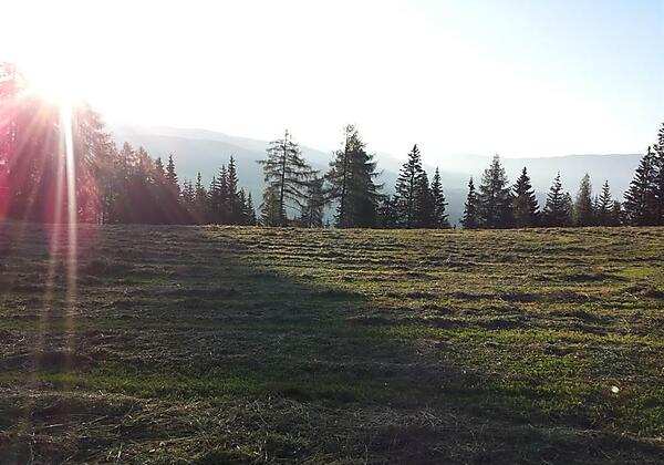 Sonnenaufgang Sommer