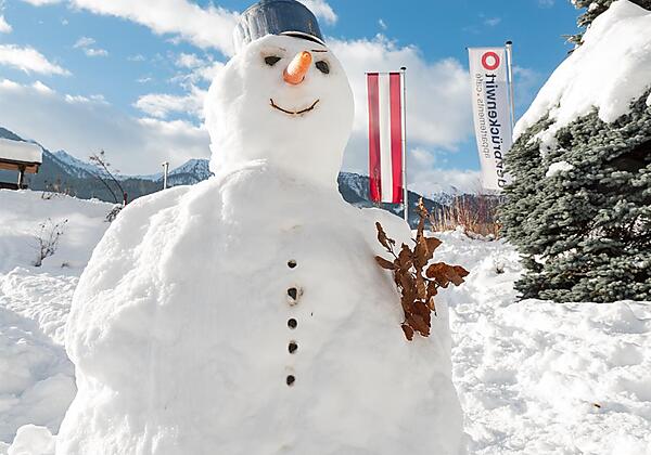 Schneemann im Garten