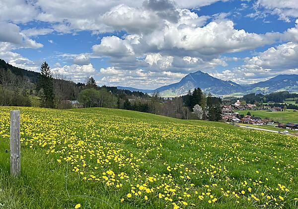 Blick nach Ofterschwang