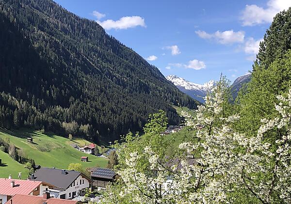 Balkon_Blick_Central