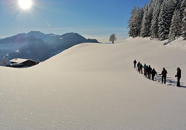 Schneeschuhwanderung Reith im Alpbachtal 18012016