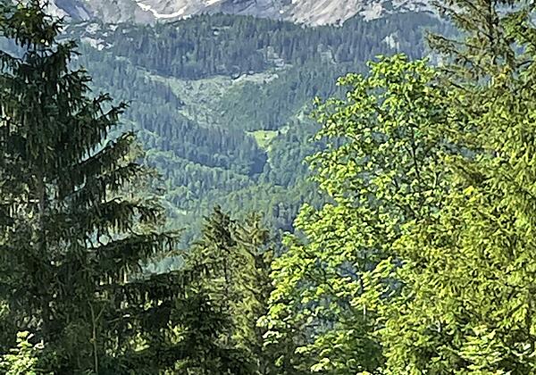Bergblick