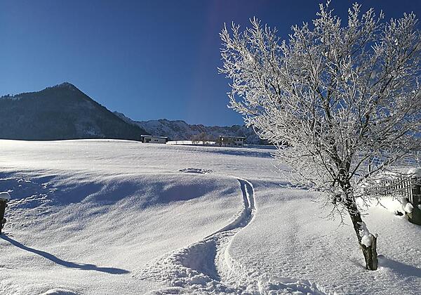 Skispur zum Chalet Glockenhof