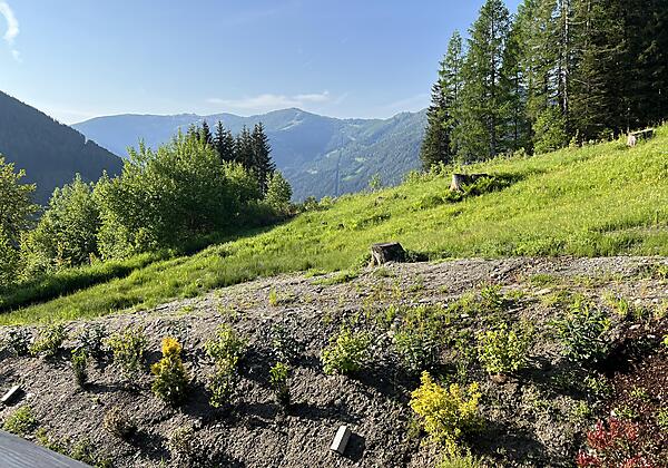 Ausblick Balkon südseitig