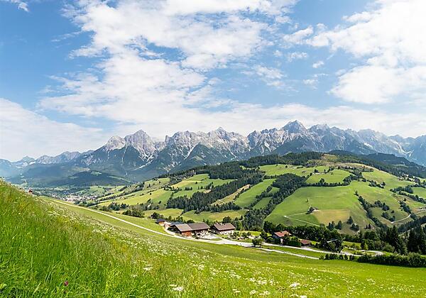 Christernhof_Sommer (37 von 64)