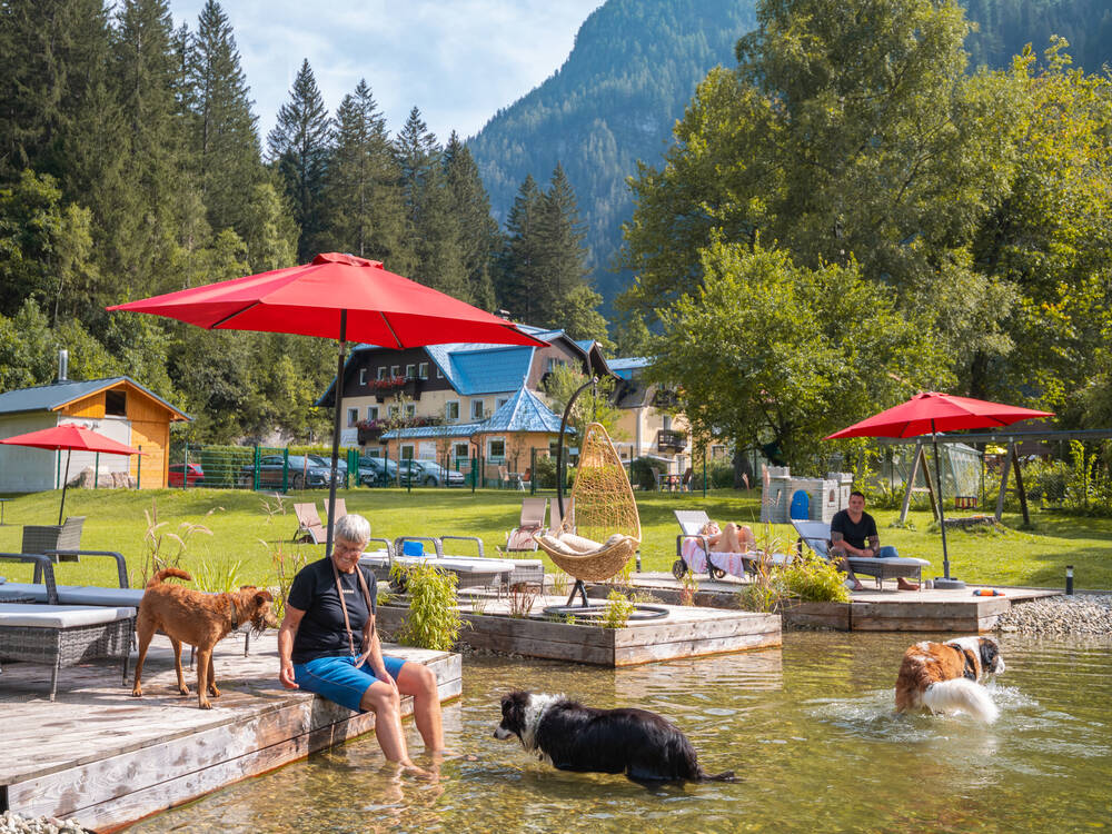 Der wohl schönste Hundebadeteich der Alpen