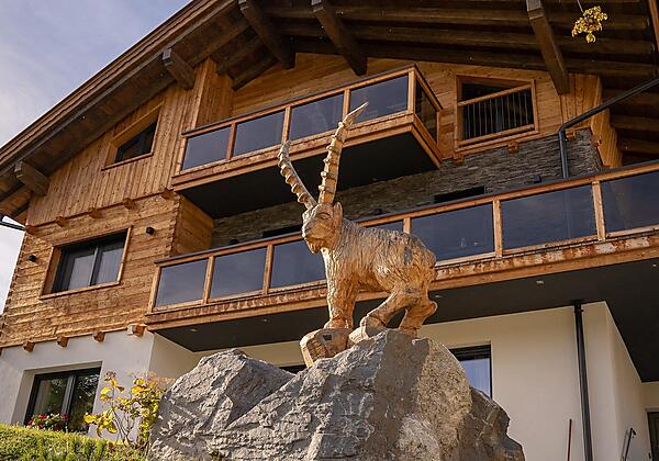 DSC079681635363244727.