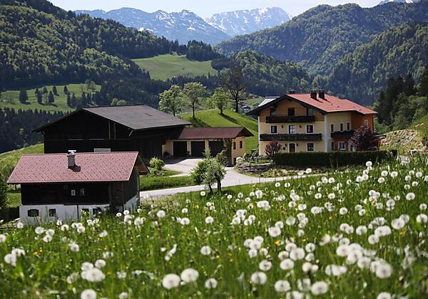 Apartment Eckstoa im Sommer