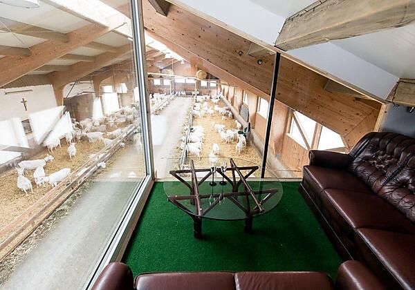 _23_03_19_Familie_Hebesberger_097_web