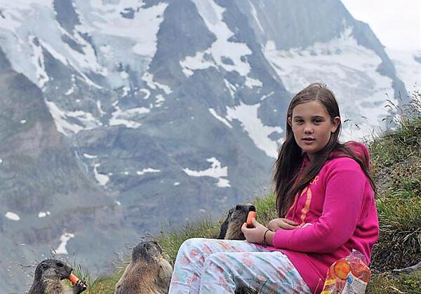 Murmeltiere am Grossglockner