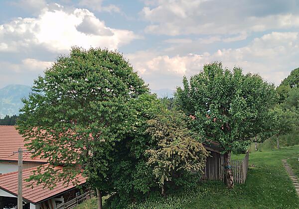 Aussicht Südbalkon Richtung Grünten