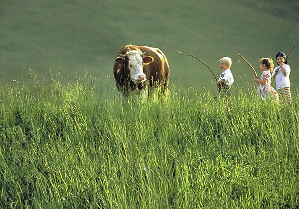 Kinder mit Kuh (c) Archiv TVB Kitzbüheler Alpen