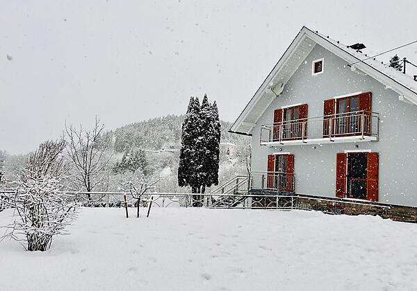 Ferienhaus EulenNest Millstättersee Winter