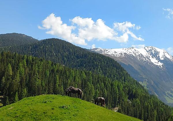 PHOTO-2025-03-15-15-09-47 (002) Landschaft 2