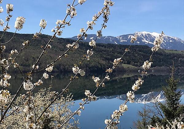 ae2e7022-1369-42f8-925b-627ab19de105