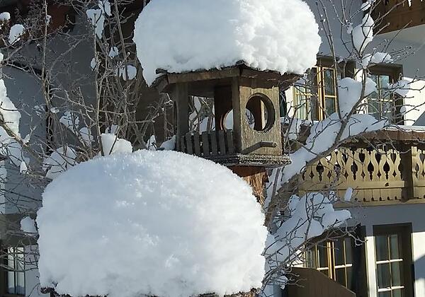 Ferienhaus-kirchplatzl-leutasch-olympiaregioSeefel