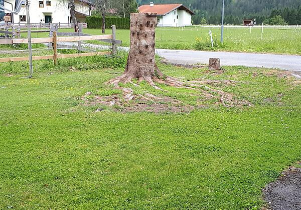 Vor dem Haus Blickrichtung Westen