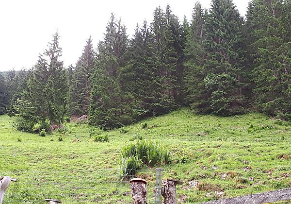 Vor dem Haus Blickrichtung Süd-Osten