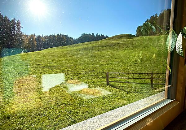 Blick aus dem Fenster