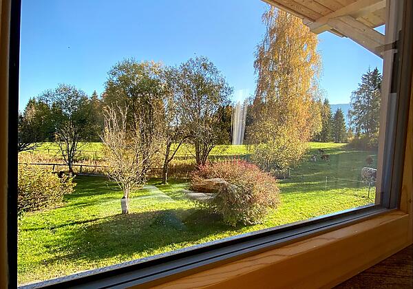 Blick aus dem Fenster