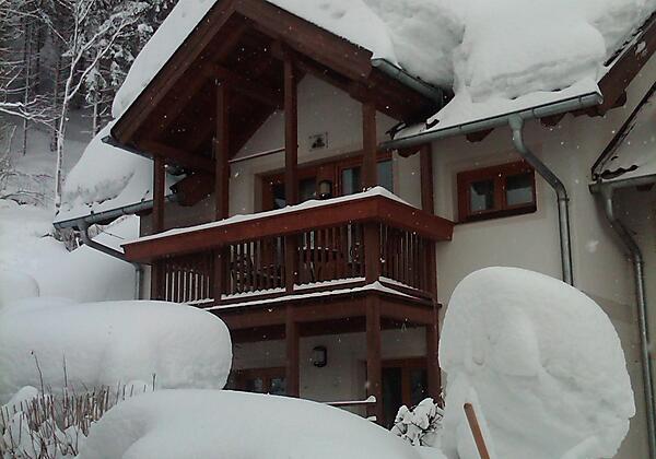 Ferienhaus Waldsicht - Winter