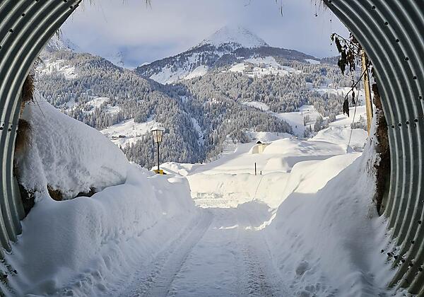 WoodcubeUmgebungWinter(c)CampingZirknitzer (3)