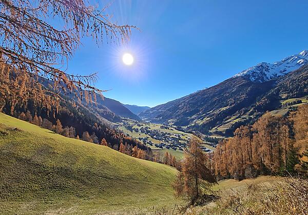 WoodcubeUmgebungSommer(c)CampingZirknitzer (4)