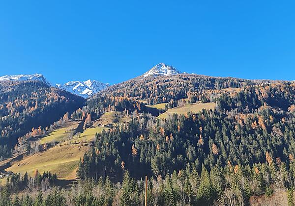 WoodcubeUmgebungSommer(c)CampingZirknitzer (5)