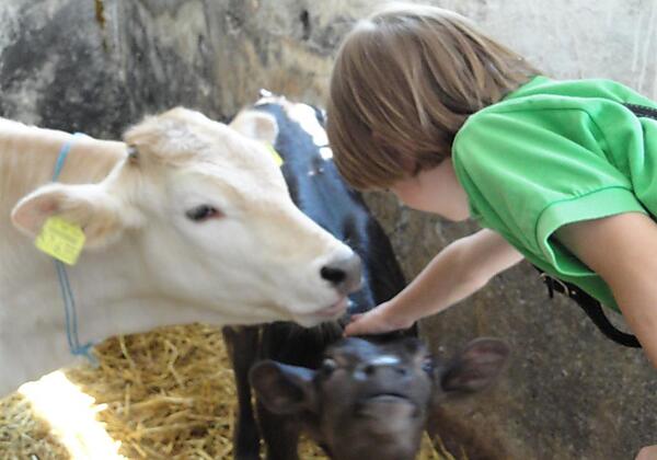 Ferienhof Almfrieden - Urlaub auf dem Bauernhof
