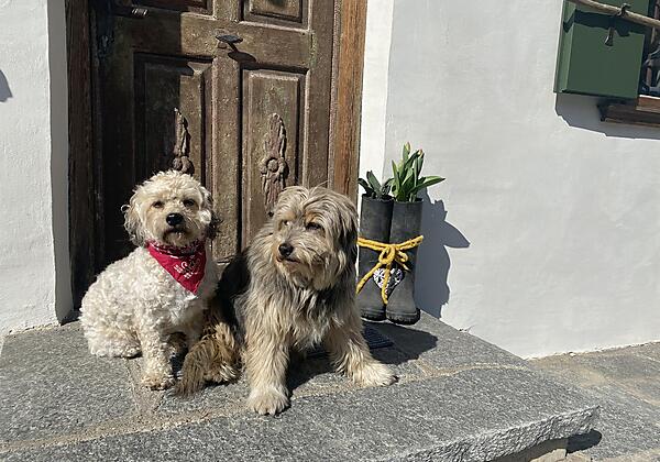 Haustiere sind herzlich willkommen!