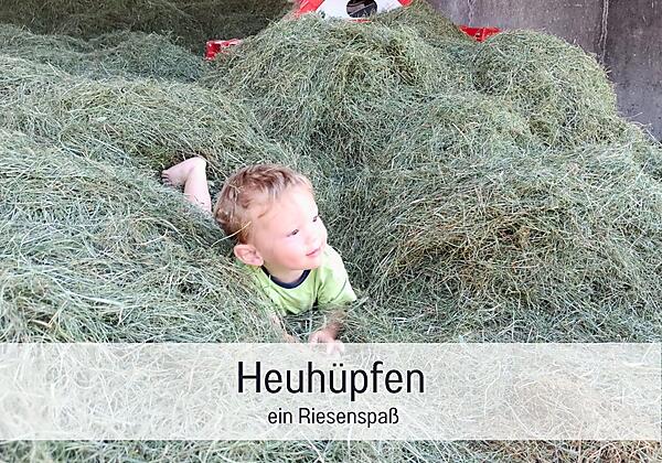 Heuhüpfen