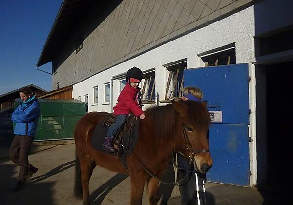 Rosalin`s Reitstunde