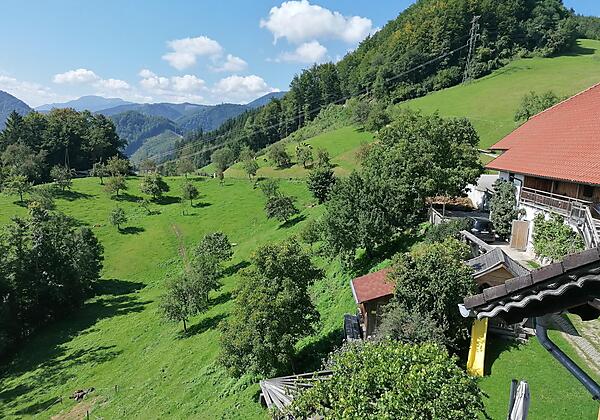 Rabenreith10_(c)_Johannes_Einzenberger