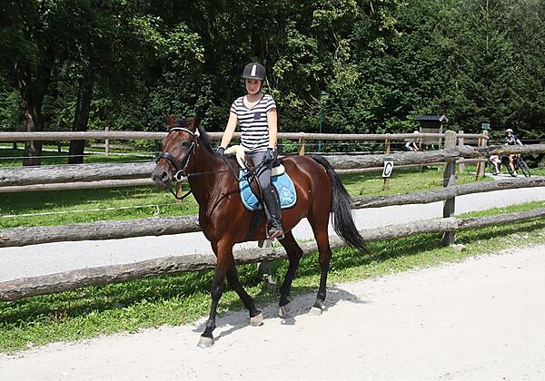 Reiter Pferde Stadlpoint Zillwertal Reitplatz Tiro