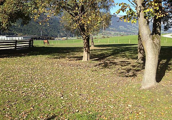 Unsere Pferde Ferienhof Stadlpoint Ried Zillertal