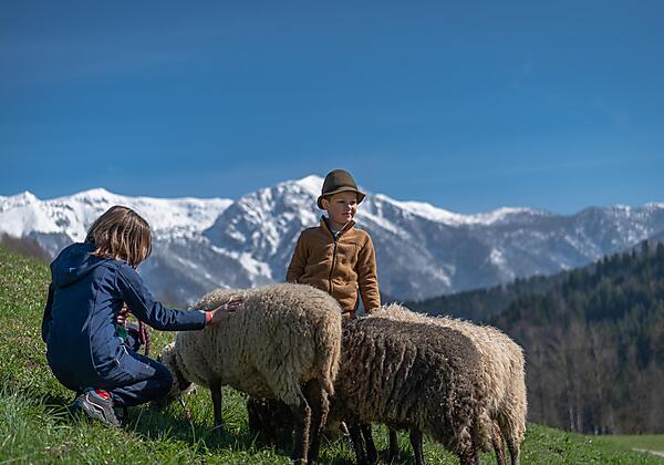 Kinderbauernhof Bild-17