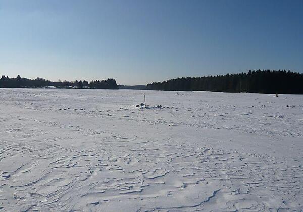 Blick in die Natur 2