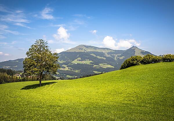 20240709_AngerlgutAussen_059_klein