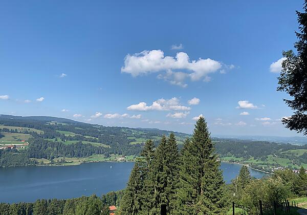 Blick auf den Großen Alpsee