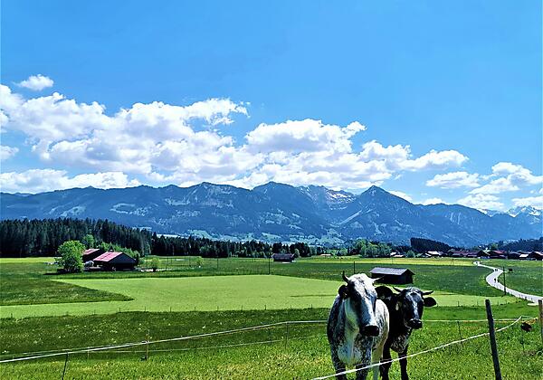 Ferienwohnung Edelweiss, heidi 4