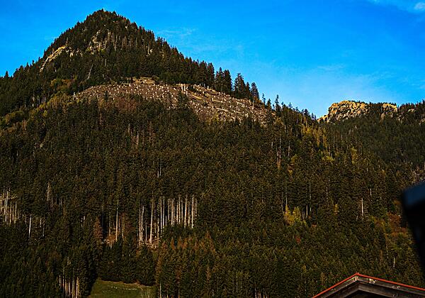Blick von der Dachterrasse zum Burgberger Hörnle
